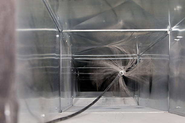 Best Residential Air Duct Cleaning  in Ovid, MI