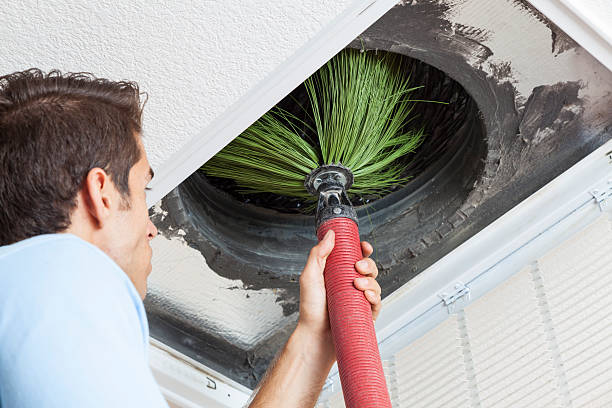 Best Air Vent Cleaning Services  in Ovid, MI
